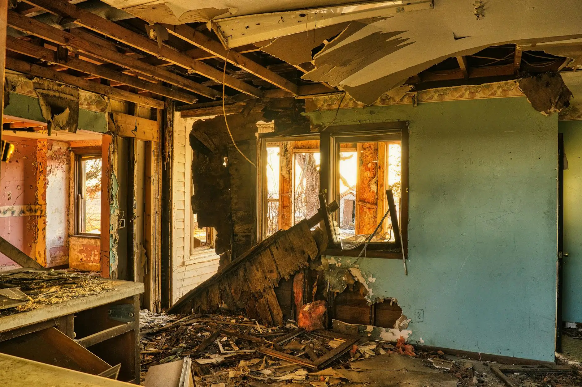 Leading Mold Removal Company In Fort Myers — Fort Myers, FL