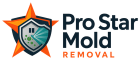 Pro Star Mold Removal